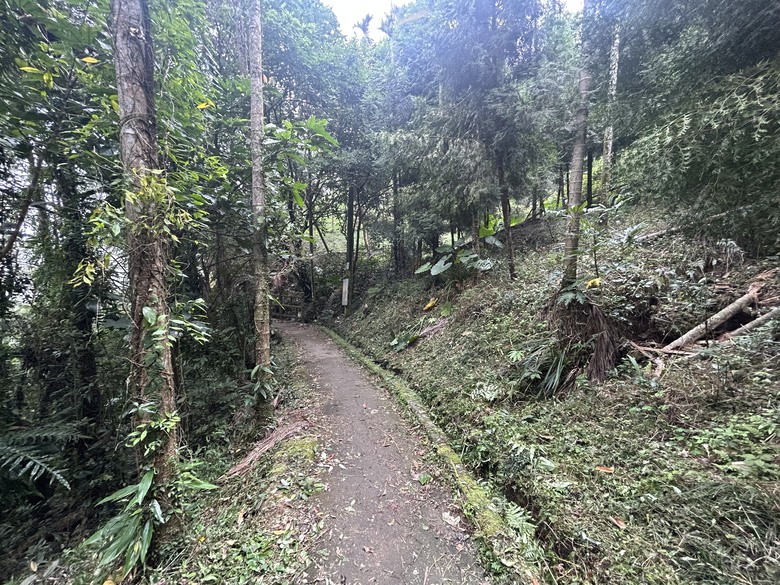 悠然迴旋路-獨立山國家森林步道健行(下)
