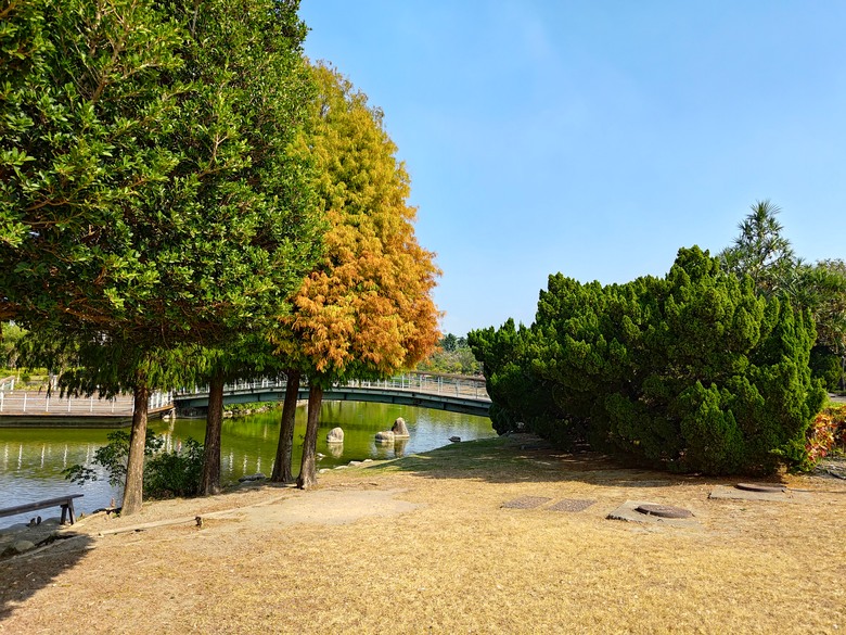 【遊記】彰化有個不輸「臺北大安森林公園」的公園，溪州公園 - 大漠國渡