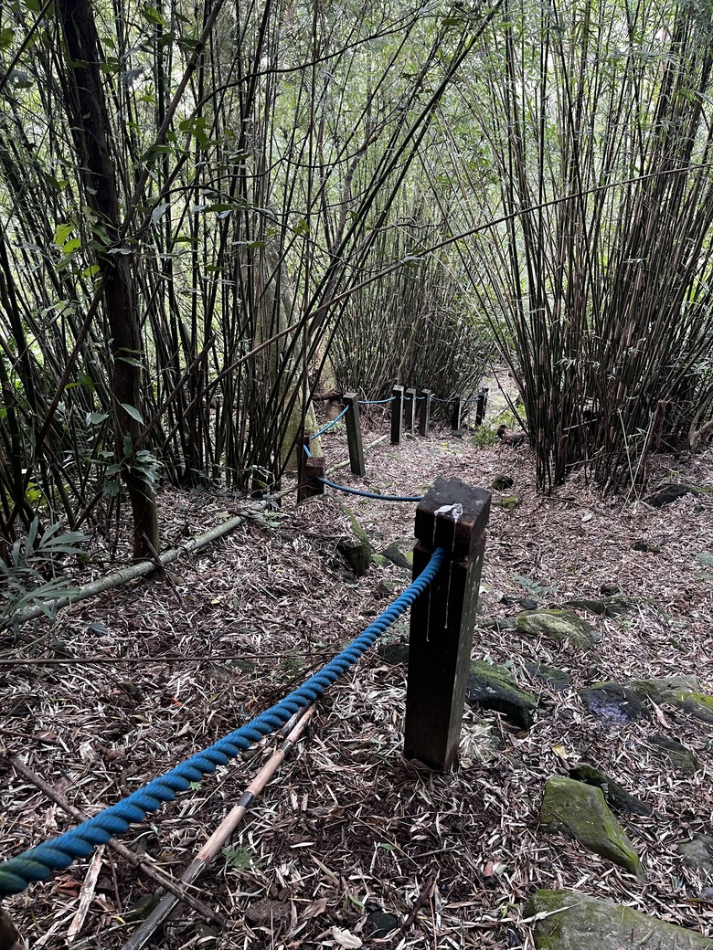 火燒山、向天山、面天山、面天池、山仔頂古道o型