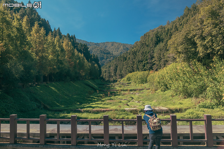 出遊分享 Canon EOS R8 ( 騎車上杉林溪)
