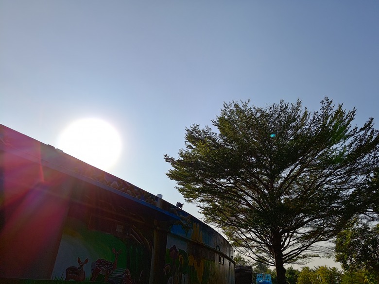 【遊記】第二章，彰化有個不輸「臺北大安森林公園」的公園，溪州公園 (森林區) - 大漠國渡