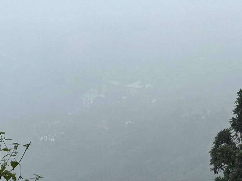 悠然迴旋路-獨立山國家森林步道健行(下)