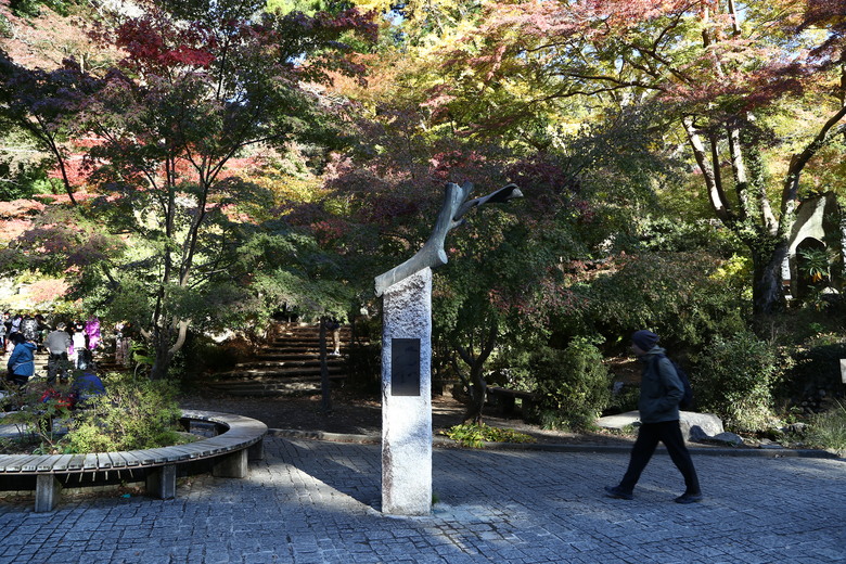 東京 高尾山 河口湖 & 里根場 [富士山] 輕井澤 川越 台場 神宮外苑 渋谷