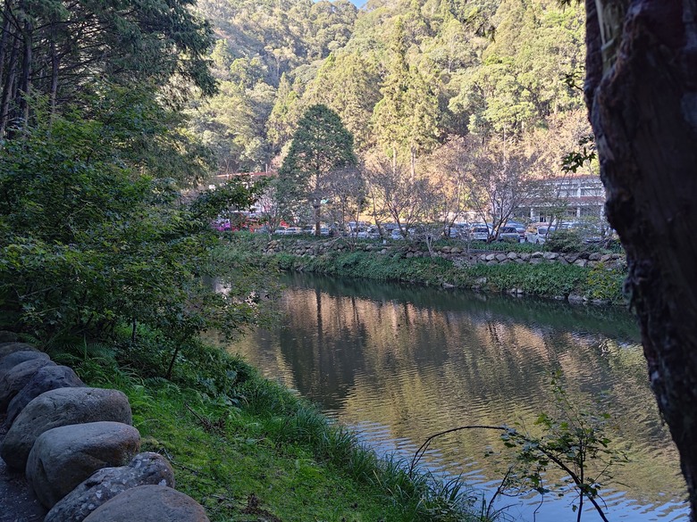 點我看大圖 【遊記】一天欣賞不完的「森林美景」,住宿是更好的選擇,杉林溪森林生態渡假園區 - 大漠國渡