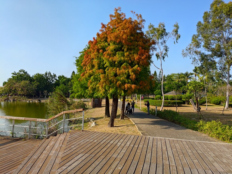 【遊記】第二章，彰化有個不輸「臺北大安森林公園」的公園，溪州公園 (森林區) - 大漠國渡