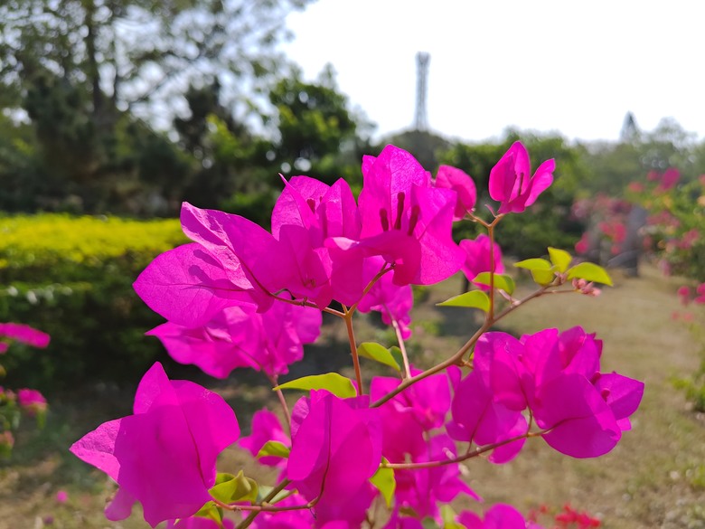 【遊記】彰化有個不輸「臺北大安森林公園」的公園，溪州公園 - 大漠國渡
