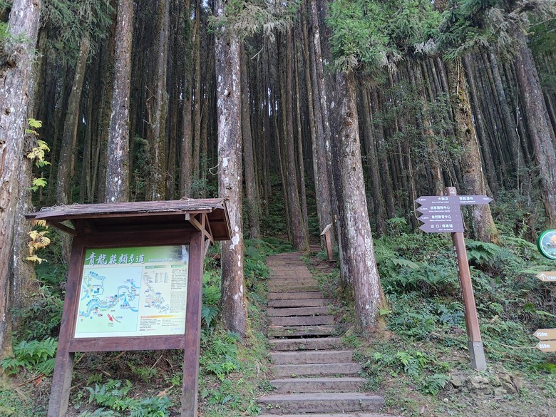 點我看大圖 【遊記】一天欣賞不完的「森林美景」,住宿是更好的選擇,杉林溪森林生態渡假園區 - 大漠國渡