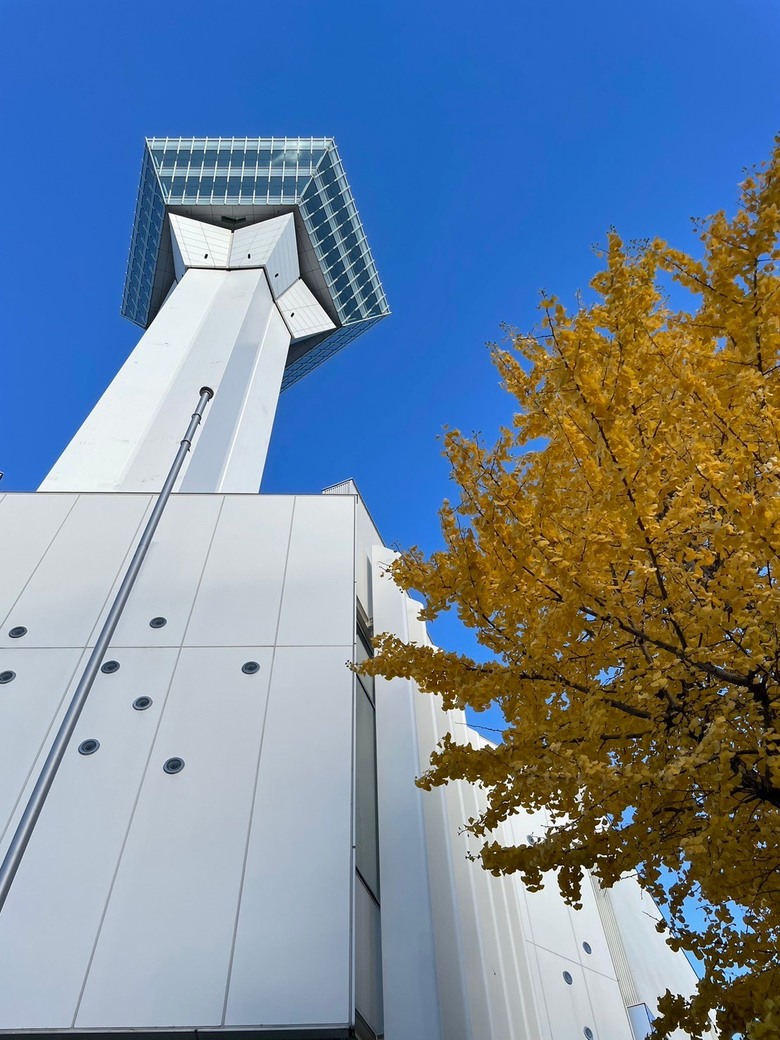 抓住秋日尾巴。北海道之旅