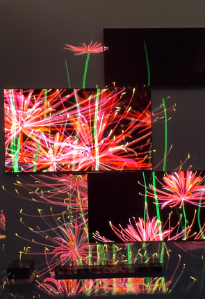 LG OLED 永恆花境藝術展 mix AI藝術家吳哲宇