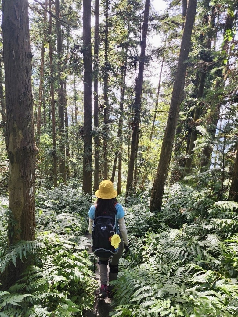 推薦輕鬆舒適健行路線｜新北三峽【鳶山步道】