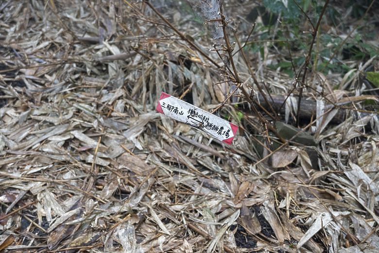 三角南山 一座下山比上山難的小百岳
