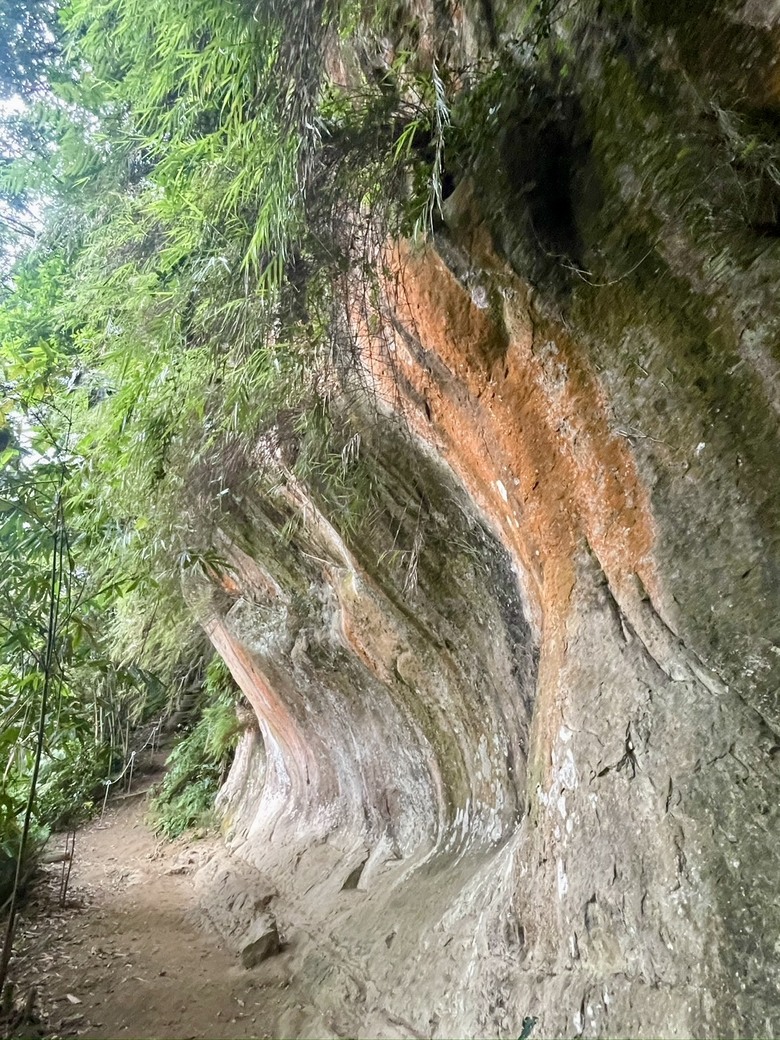 推薦輕鬆舒適健行路線｜新北三峽【鳶山步道】