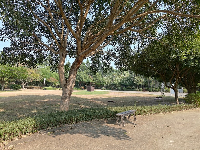 【遊記】彰化有個不輸「臺北大安森林公園」的公園，溪州公園 - 大漠國渡