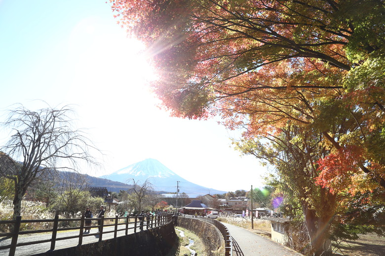 東京 高尾山 河口湖 & 里根場 [富士山] 輕井澤 川越 台場 神宮外苑 渋谷