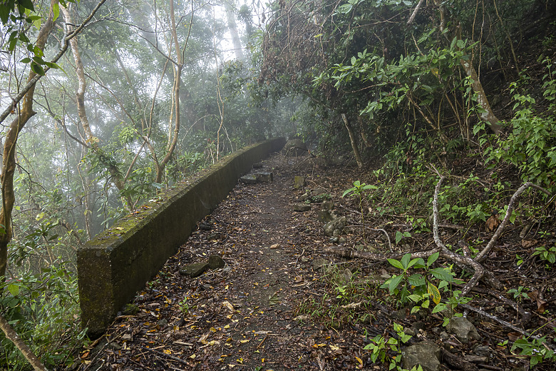 三角南山 一座下山比上山難的小百岳
