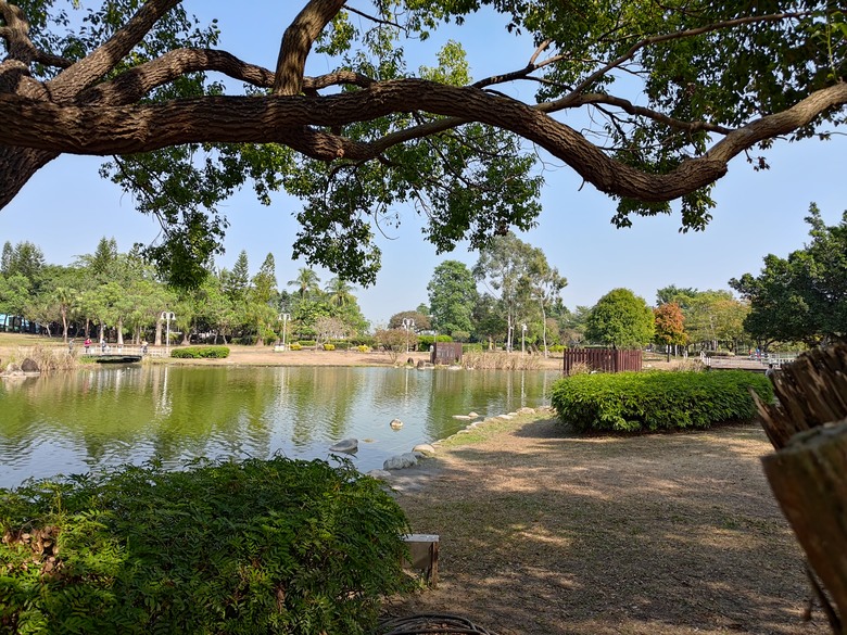 【遊記】彰化有個不輸「臺北大安森林公園」的公園，溪州公園 - 大漠國渡