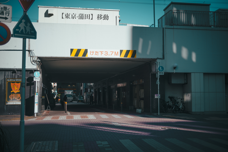 【Nikon ZF】東京十二月雜記