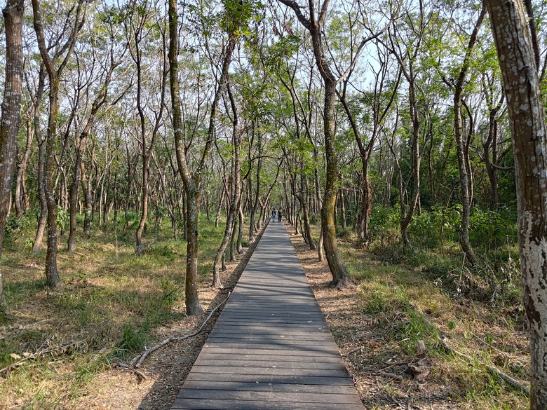 【遊記】第二章，彰化有個不輸「臺北大安森林公園」的公園，溪州公園 (森林區) - 大漠國渡