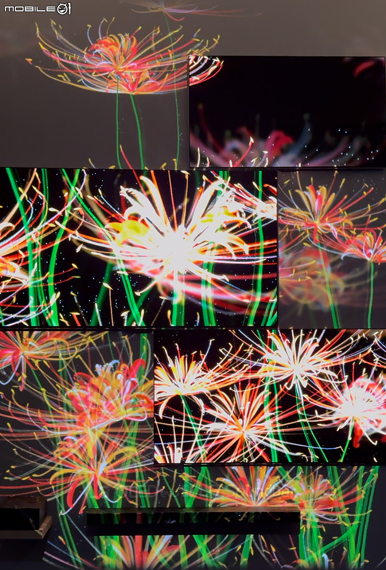 LG OLED Eternal Floral Realm 永恆花境 吳哲宇 彼岸花