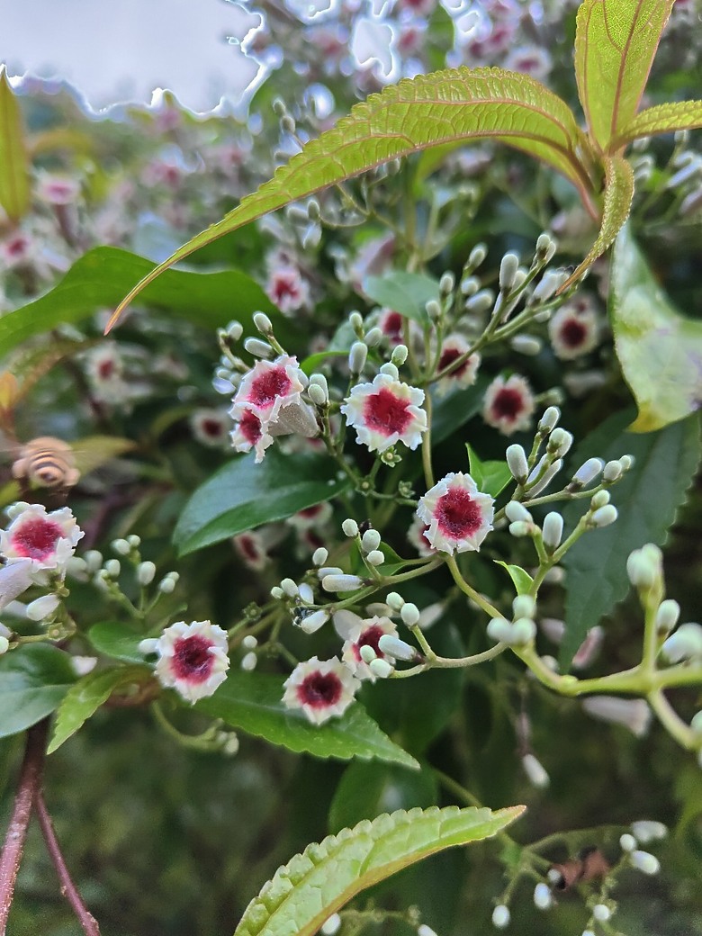 想不到瑞芳的交通還挺方便的.....