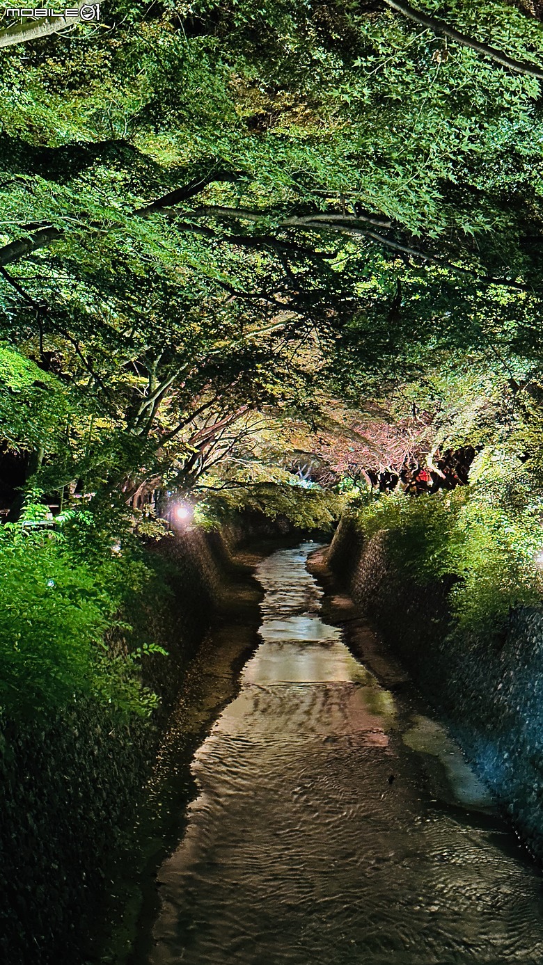 2024 京都夜間拜觀及夜拍 - 東寺、二条城 & 北野天満宮