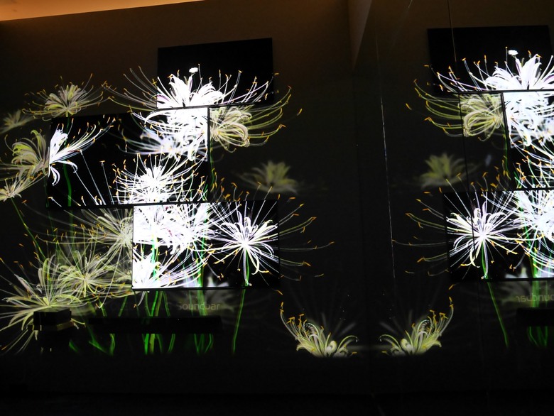 【限定期間體驗】LG OLED 永恆花境藝術展 欣賞藝術家吳哲宇的演算生成藝術影像作品