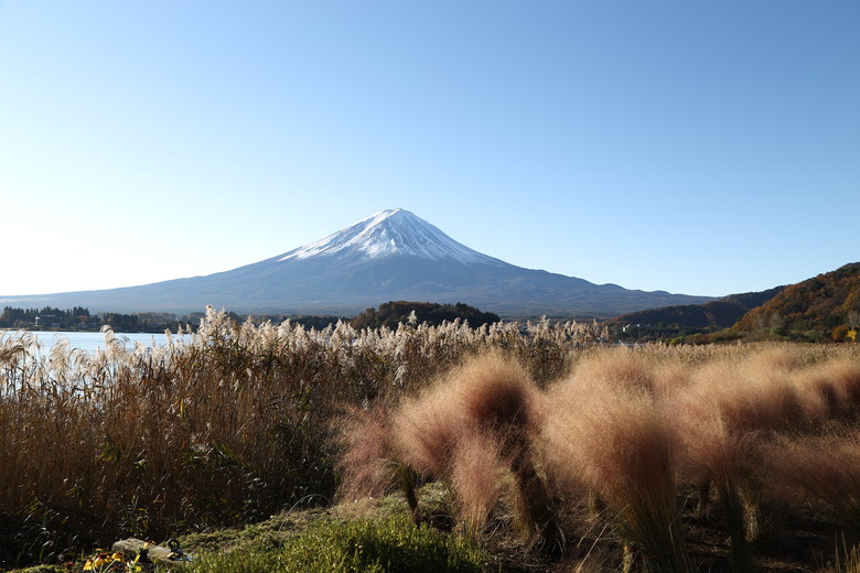 東京 高尾山 河口湖 & 里根場 [富士山] 輕井澤 川越 台場 神宮外苑 渋谷