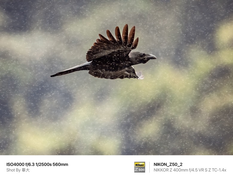 尼康NIKON Z50II二代新機評測