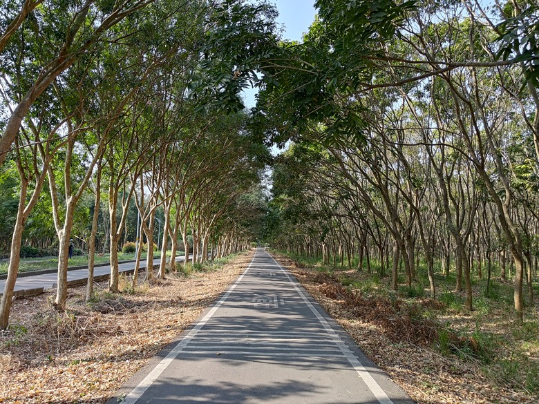 【遊記】第二章，彰化有個不輸「臺北大安森林公園」的公園，溪州公園 (森林區) - 大漠國渡
