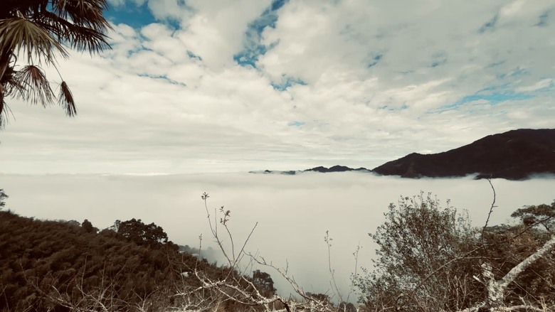 秋末賞雲海／露友評論4.9顆星的營地