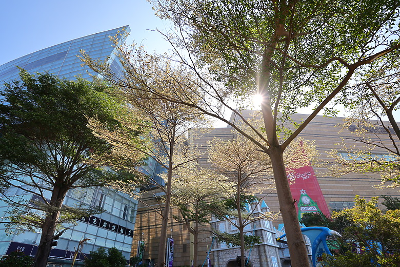 點我看大圖 Tamron 11-20mm f/2.8 DiIII-A RXD(RF-Mount)評測報告|老佳 APS-C 超廣角大光圈新選擇!