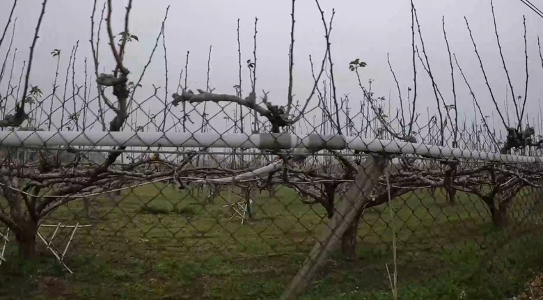 人生跟馬拉松一樣，偶爾放慢腳步，來一場玩賽也很棒！