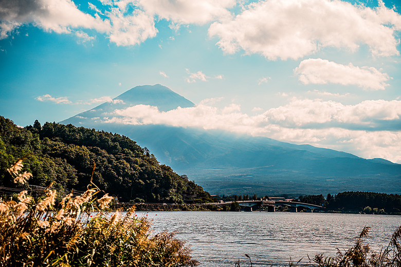 2024 東京之旅 with Sony A7 IV & Sigma 24-70mm f/2.8 DG DN II Art