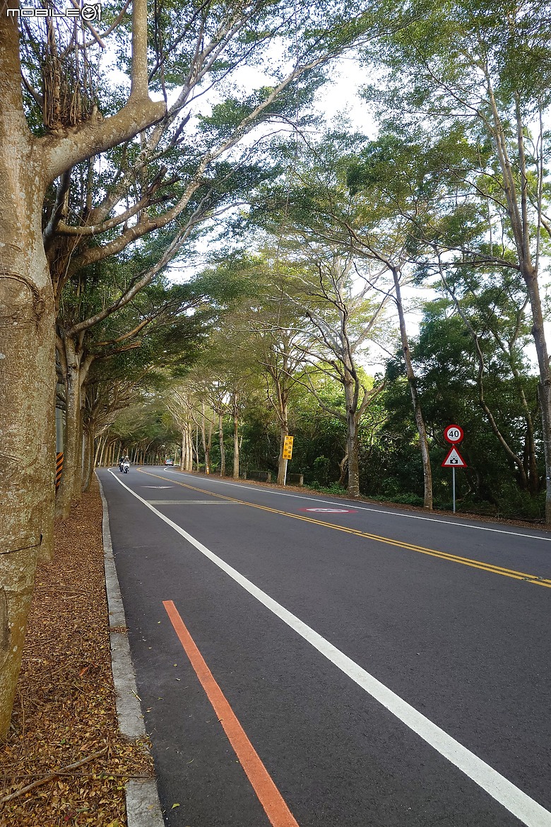 2025/01/04 彰化-秀水-139縣道-員林-溪湖