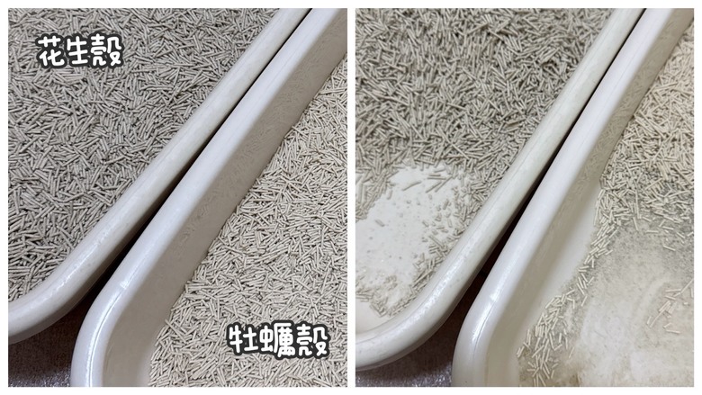 高雄寵物展挖到的好康分享
