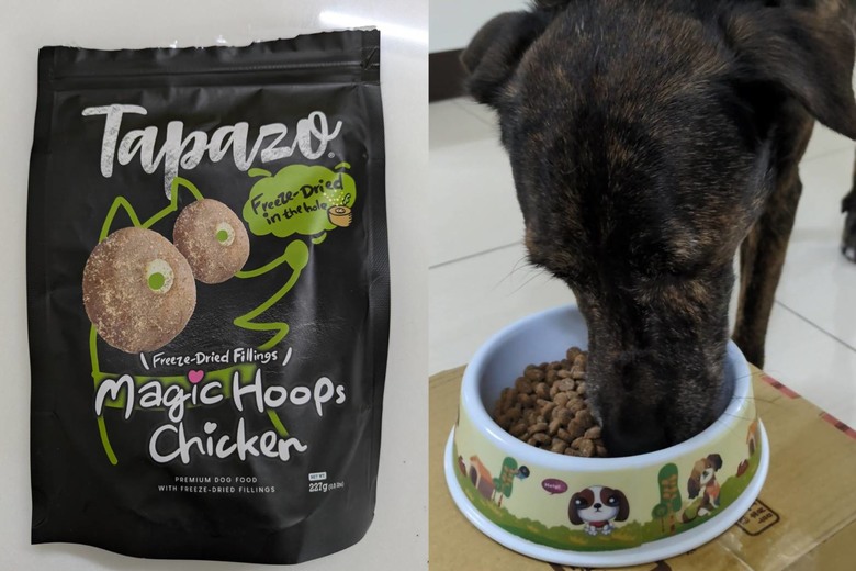 給毛孩的飼料會常換嗎?