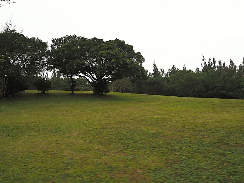 忠貞新村文化園區、異域故事館、太武新村眷村文化園區、中原文創園區、中庄吊橋與大漢溪山豬湖生態親水園區,吃吃喝喝之阿嬌米干與久留米日式咖哩 — 寒流來襲之中壢大溪一日遊