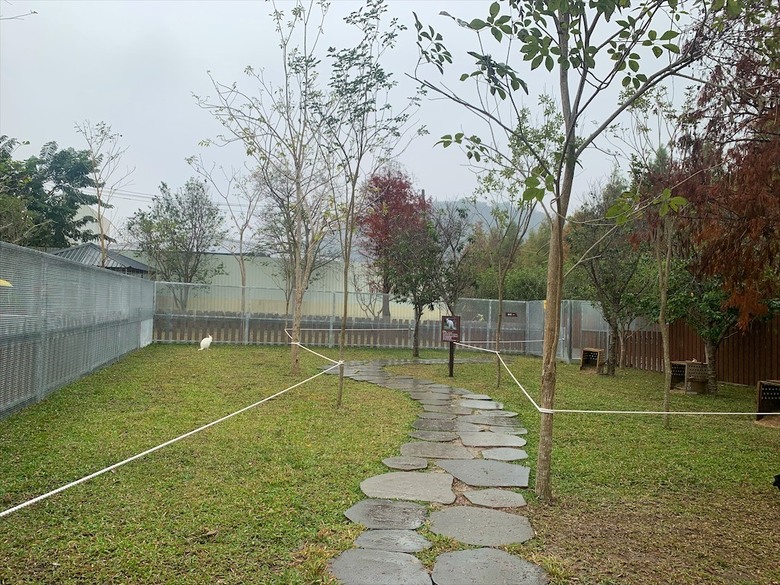 點我看大圖 許多可愛的超萌小動物,有超人氣的水豚君、笑笑羊,可以零距離和牠們互動