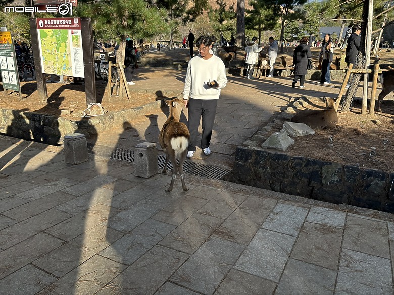 上集｜用旅行編織愛的記憶：一趟陪伴媽媽與孩子的日本之旅(Day1-奈良與京都篇)