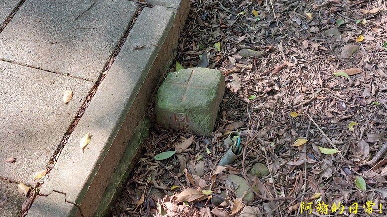 【桃園郊山】桃園的知名後花園 虎頭山公園｜桃園神社｜尋 曾經的小百岳 - 虎頭山三角點