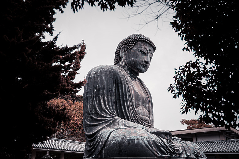 2024 東京之旅 with Sony A7 IV & Sigma 24-70mm f/2.8 DG DN II Art