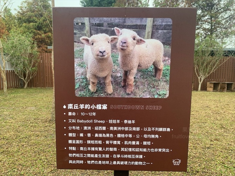 點我看大圖 許多可愛的超萌小動物,有超人氣的水豚君、笑笑羊,可以零距離和牠們互動