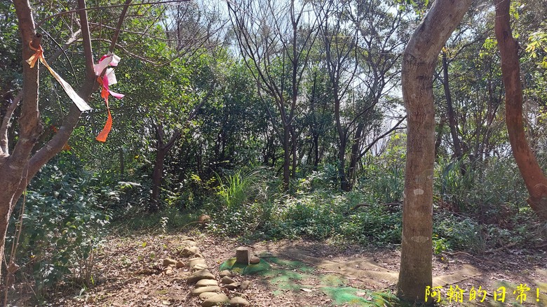 【桃園郊山】桃園的知名後花園 虎頭山公園｜桃園神社｜尋 曾經的小百岳 - 虎頭山三角點