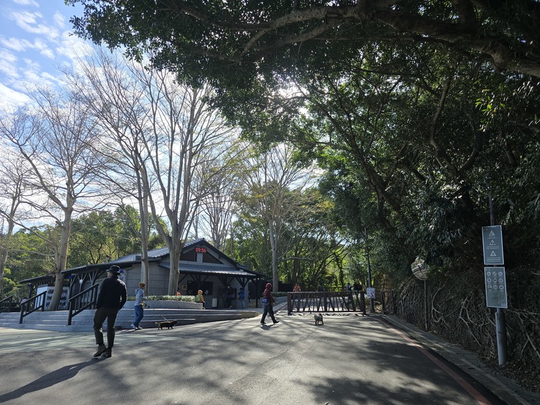 【小惡魔畫蛇添福】蛇年大吉，迎春納福 最親民的小百岳 新竹十八尖山