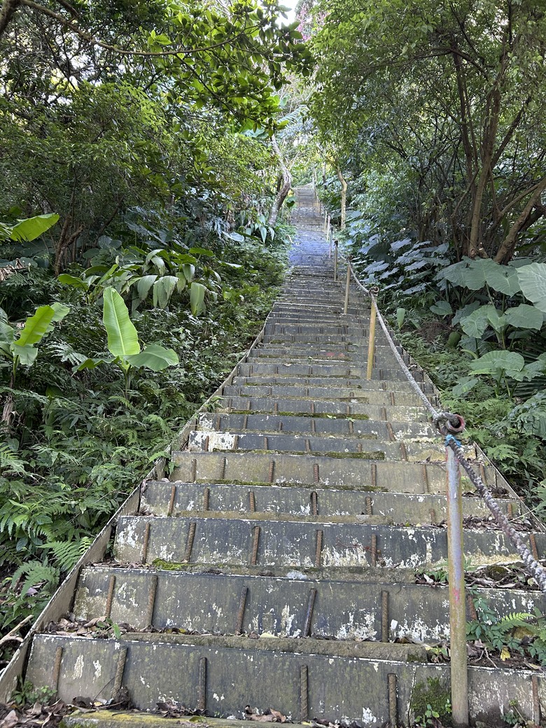 1/29 冷水坑古道、復興媒礦事務所及文筆山，Element 輕旅行