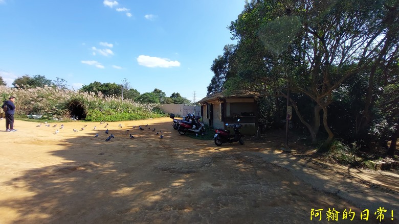 【桃園郊山】桃園的知名後花園 虎頭山公園｜桃園神社｜尋 曾經的小百岳 - 虎頭山三角點