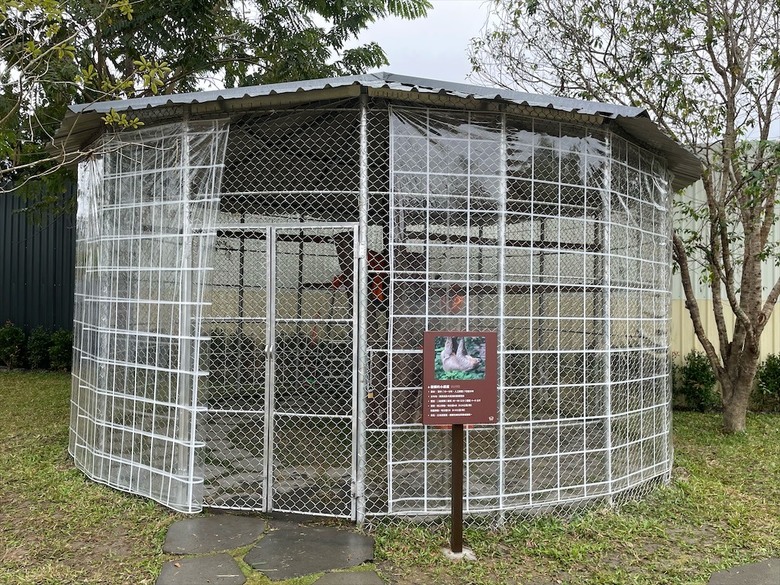 點我看大圖 許多可愛的超萌小動物,有超人氣的水豚君、笑笑羊,可以零距離和牠們互動
