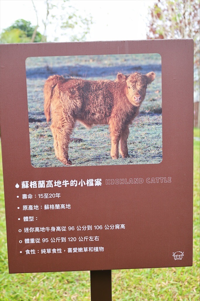點我看大圖 許多可愛的超萌小動物,有超人氣的水豚君、笑笑羊,可以零距離和牠們互動
