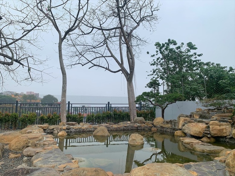 點我看大圖 許多可愛的超萌小動物,有超人氣的水豚君、笑笑羊,可以零距離和牠們互動