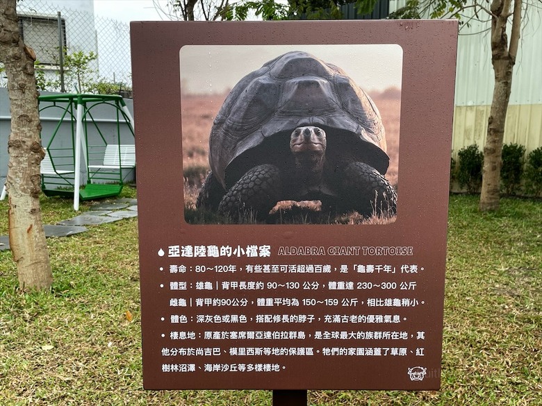 點我看大圖 許多可愛的超萌小動物,有超人氣的水豚君、笑笑羊,可以零距離和牠們互動